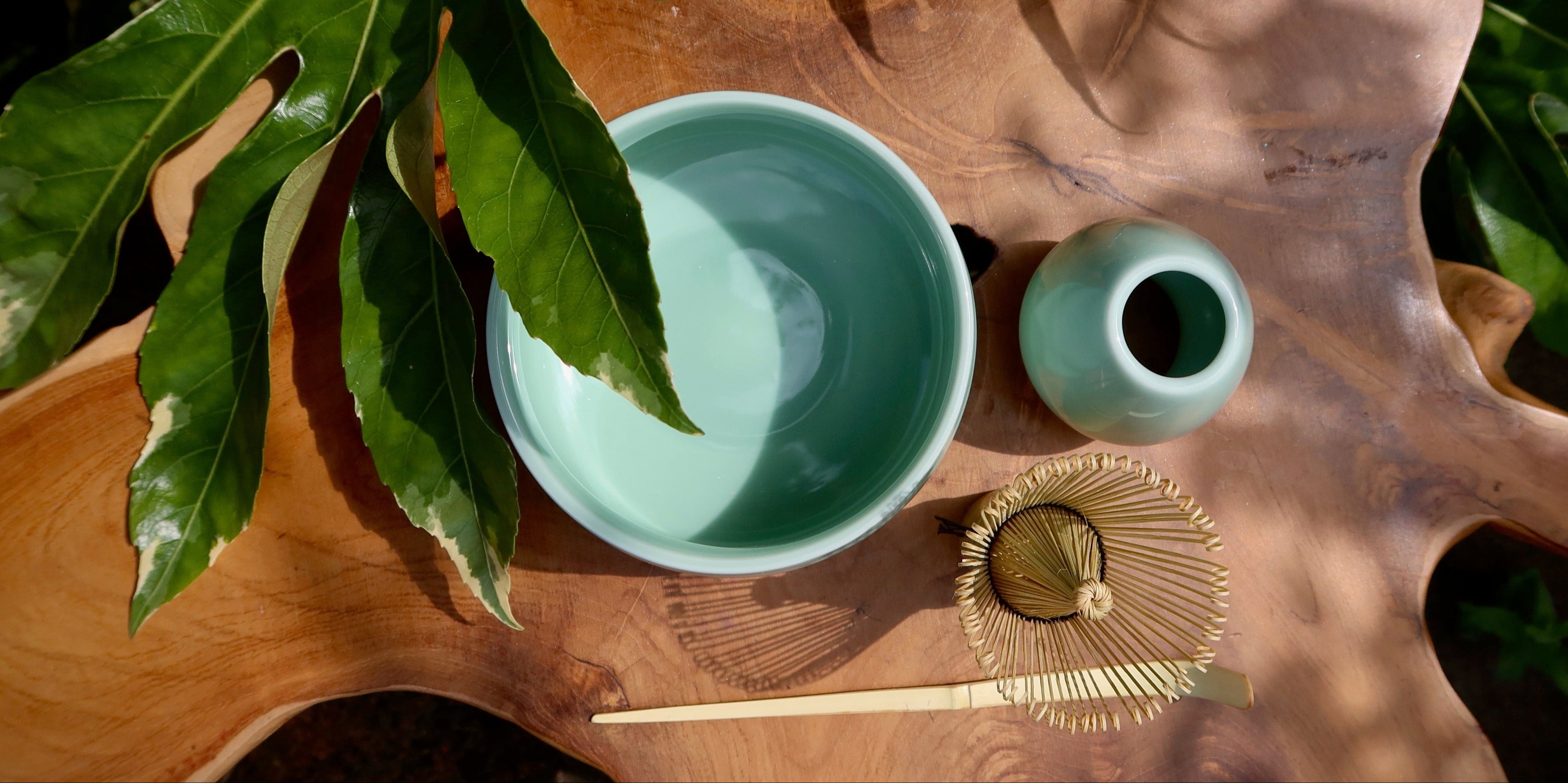 Shizuka Living matcha set full collection