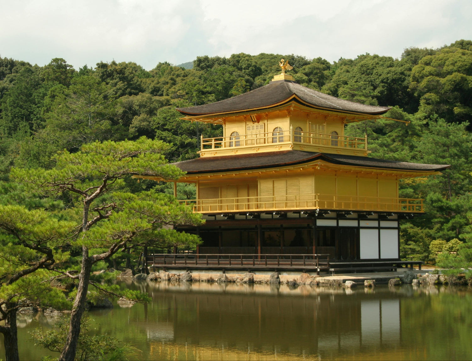 Golden temple surrounded by greenery and water in Kyoto, Japan